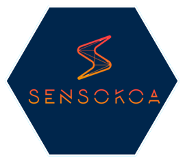 logo de Sensokoa