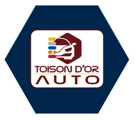 logo de Toison d