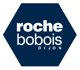 logo de Roche Bobois