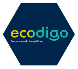 logo de ecodigo